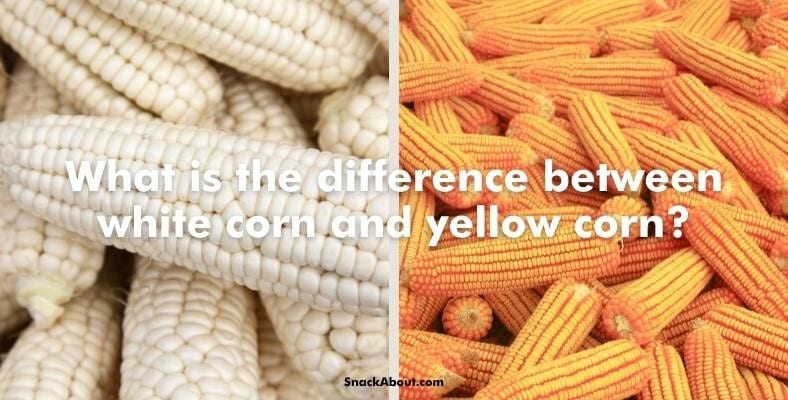 what is the difference between white corn and yellow corn