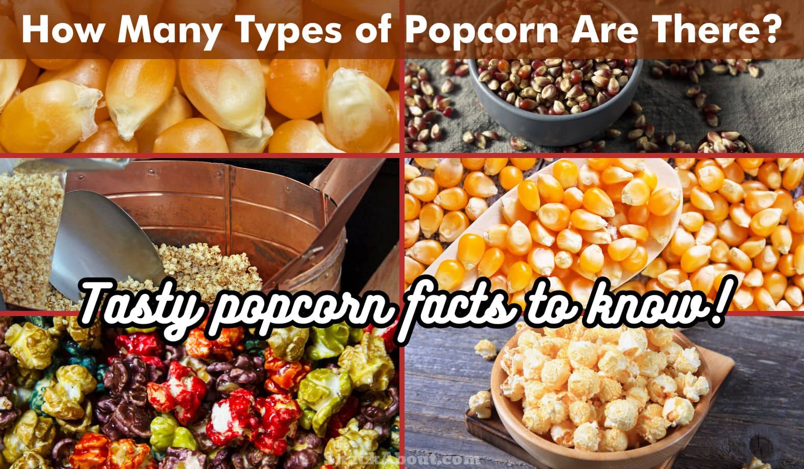 how many types of popcorn are there featured image