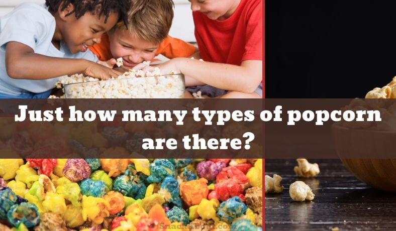 how many types of popcorn are there