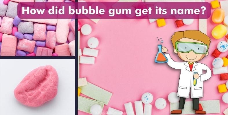how did bubble gum get its name