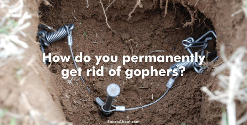 how do you permanently get rid of gophers