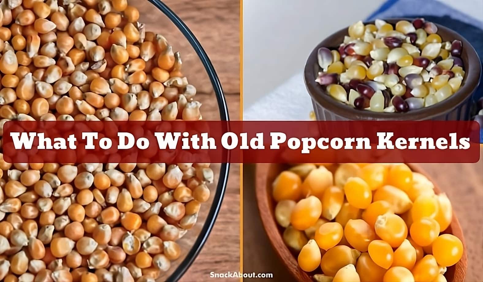 what to do with old popcorn kernels featured image