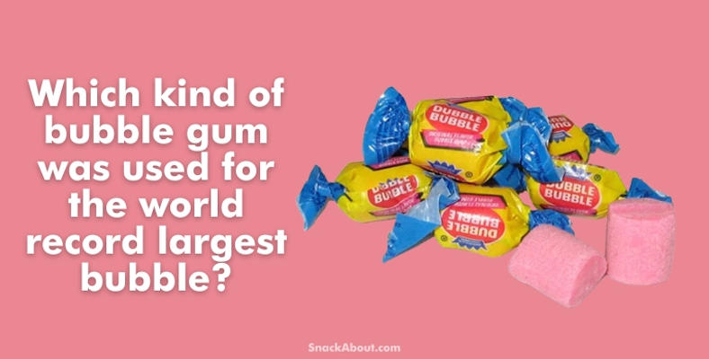 which kind of bubble gum was used for the world record largest bubble